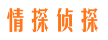 文山外遇出轨调查取证